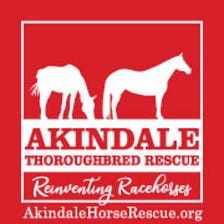 Akindale Thoroughbred Rescue