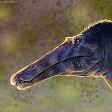 Awesome New Dinosaurs Named in 2021