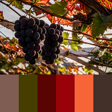 Color Inspiration from Autumn in Belgium.