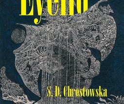 Review of The Eyelid by S.D. Chrostowska