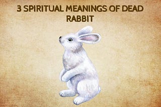 Spiritual Meaning of Seeing a Dead Rabbit: Unveil the Mystery