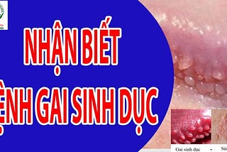 [ Bác Sĩ ] Tư vấn cách chữa trị bệnh gai sinh dục nữ giới