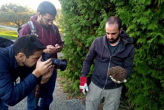 SCIENCE OUTREACH: A Day Devoted to the Study of Hedgehogs (part 1)