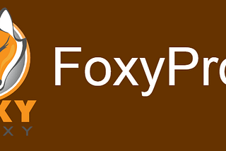 Guide d’Installation Pas à Pas de FoxyProxy pour BurpSuite