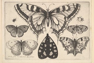 #010–015: Viridian Forest Insects