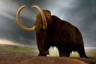 The Race Against Extinction:Cloning Woolly Mammoths,Tasmanian Tigers,Northern Rhinos,and Dodo