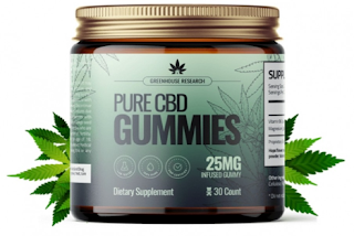 Bioblend CBD Gummies Reviews- Does It Really Work? Here’s My Results Using It!