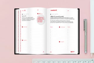 What Makes Design Your Business in 365 Days Planner Special?