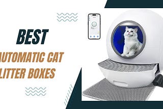 The Best Automatic Cat Litter Boxes for Pet Owners
