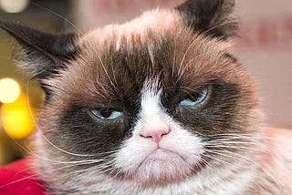 10 Things Cats Over 30 (in cat years) Should NEVER DO