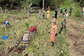 Archan Permaculture in action