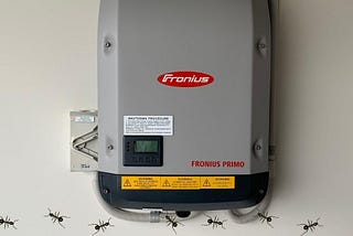 Why Ants Nest in Solar Inverters (and how to deal with them)