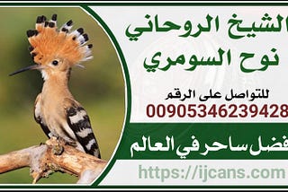 00905346239428افضل ساحر في العالم وأعماله المتنوعة