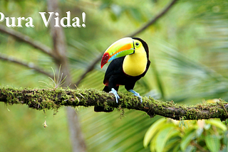 Move To Costa Rica And Live The Pura Vida — expat life