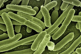 WHAT CAN FAECAL MICROBIOTA TRANSPLANTS DO FOR YOU?