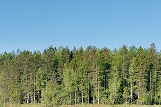 Silvestica Green Forest acquires 40,000 hectares of forestland from Norra Skog in Sweden