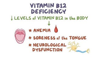 Exploring Vitamin B12 Benefits, Deficiency, Symptoms, and Top Food Sources