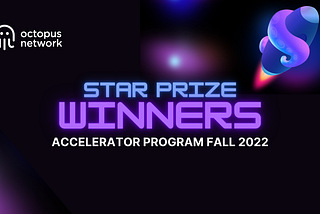 Победители Octopus Accelerator Star Prize — Осень 2022