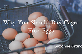 Why You Should Buy Cage-Free Eggs