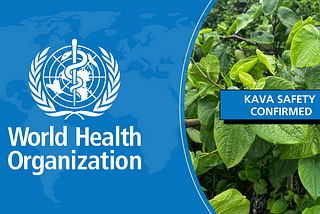 Kava Safety Confirmed by World Health Organization (WHO)