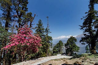 Tungnath Temple and Trek-The Best Bet To See Majestic Himalayan peaks