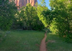 Zion and the Kolob Arch