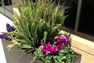 Decorating With Plant Containers