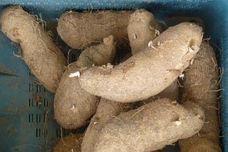 Yams — West Africa’s Corner on the Market