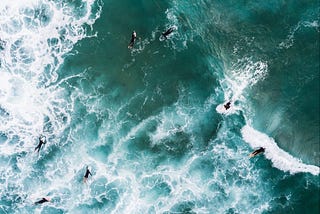 Surf and the Art of Career Navigation