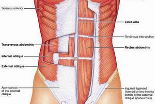 Resolving Back Pain for the Aging Teenage Population