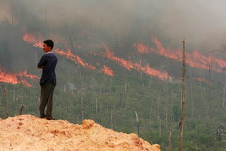 Disincentivising the Indonesian forest fires