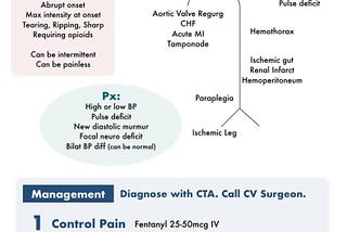 Aortic Dissection — Symptoms, Complications, Therapy