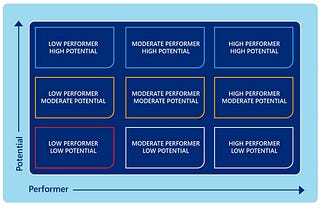 What is 9 box talent matrix in succession planning?