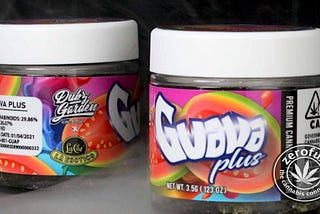 GUAVA PLUS BY DUBZ GARDENS AND LA COZ