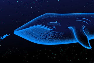 Whales : Dive Into the Concentrations of Large Crypto Holders