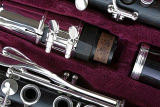 Clarinet Reed Case — Our Top Picks