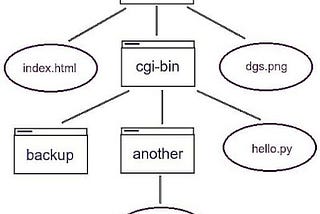 Python os.walk() Method with example