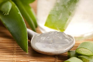 WOW ! Super awesome Aloe Vera Uses — The Gorgeous Club