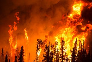 The Experiment of Forest Fires Prediction using Deep Learning