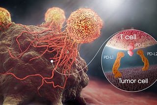 Changing Perspectives In Cancer Treatment