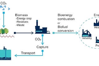 Engineering Carbon Neutrality: The Pivotal Role of Engineered Solutions in Carbon Offsetting