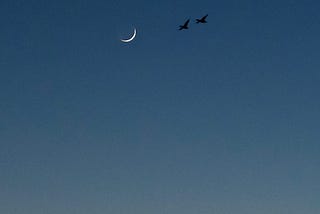 Día y noche