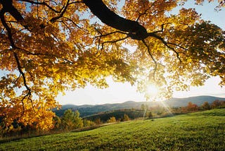 Leave it or Live with it: Navigating Communication