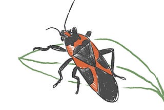 You’re Judging Everything