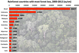 How the lives of animals and humans are affected by deforestation