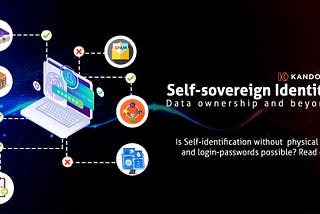 Self-Sovereign Identity: Data Privacy and Beyond
