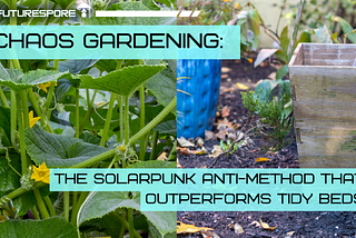 Chaos Gardening: The Solarpunk Anti-Method That Outperforms Tidy Beds