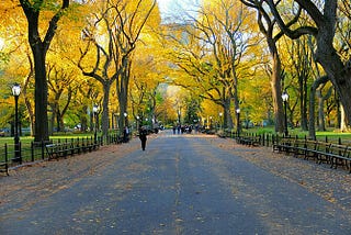 NYC nature spots to take pictures in