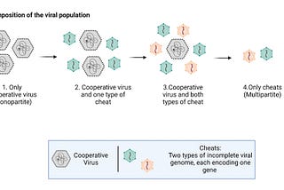 Cheating Viruses: The Rise of Multipartitism