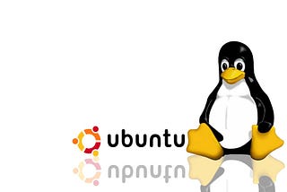 My Review of Ubuntu 20.04 — The Discovery of the Penguin